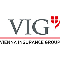 Logo VIG